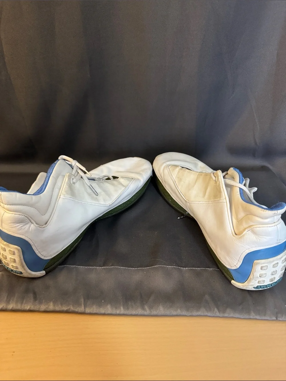 Jordan White Sneakers with Blue Interior